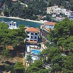 Paradise 3*
