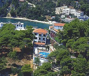 Paradise 3*