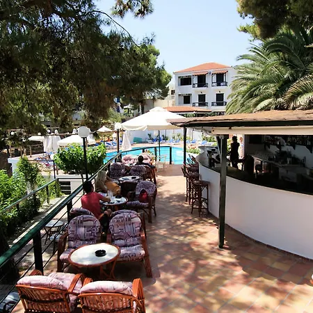 Paradise פטיטיריון