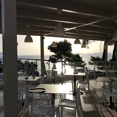 Paradise 3*